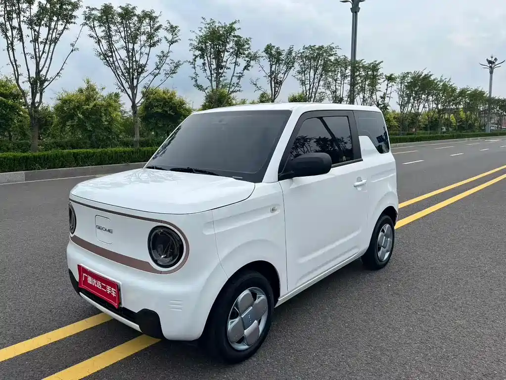 Geely Galaxy Panda 2024
