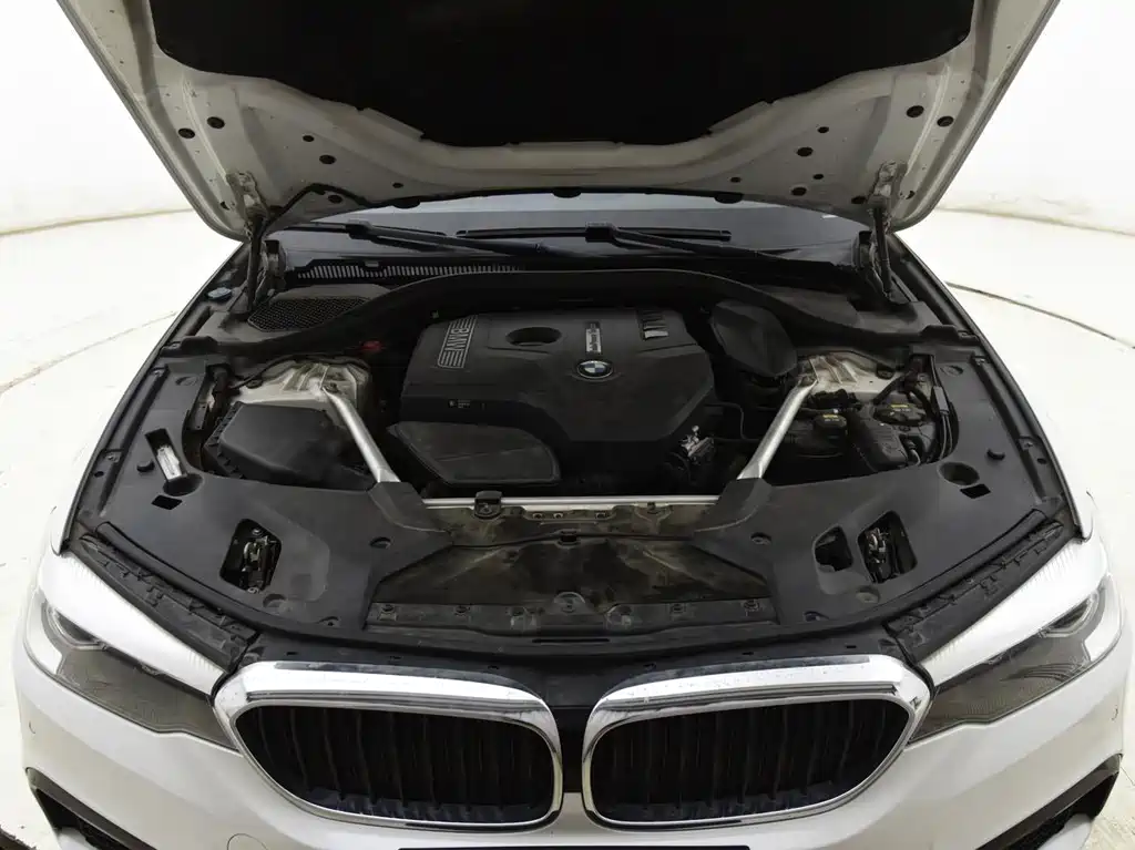 BMW 5 Series 2019 — фото 13