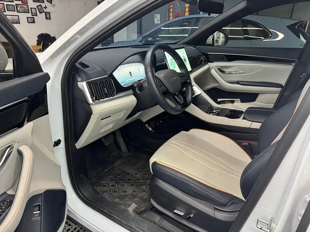 BYD Song PLUS New Energy 2023 — фото 15