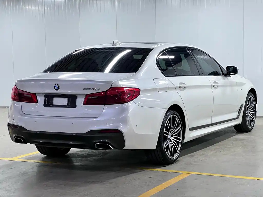 BMW 5 Series 2018 — фото 11