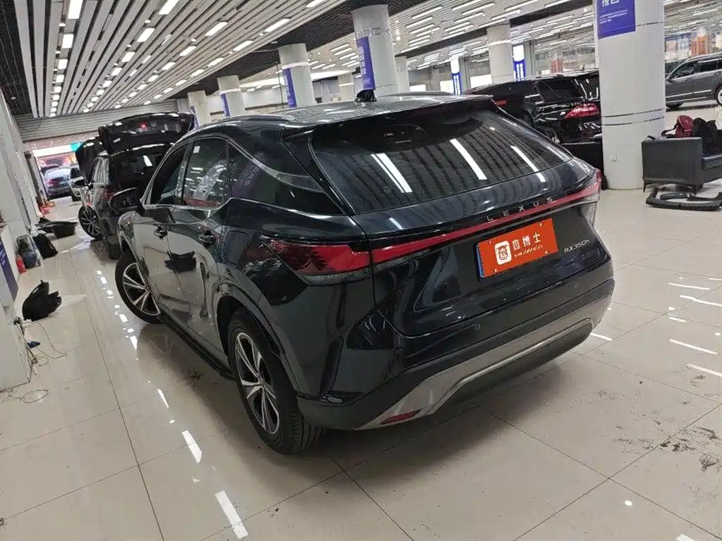 Lexus RX 2023 — фото 13