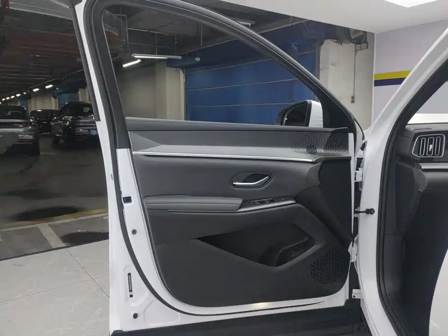BYD Song Pro New Energy 2026 — фото 7