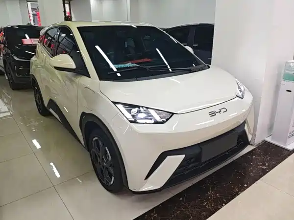 BYD Seagull 2024