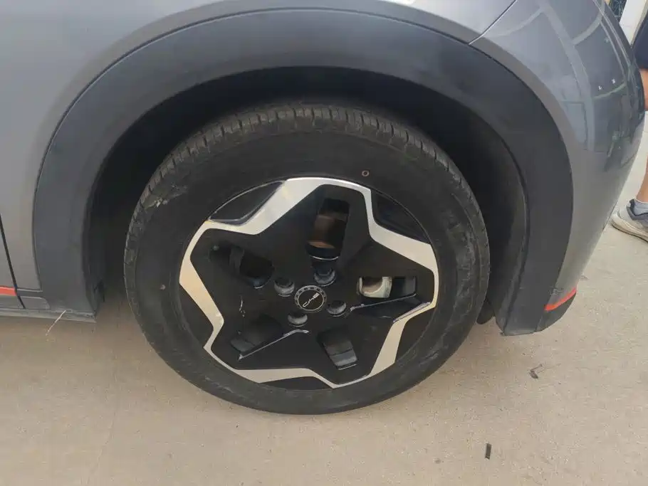 BYD Dolphin 2022