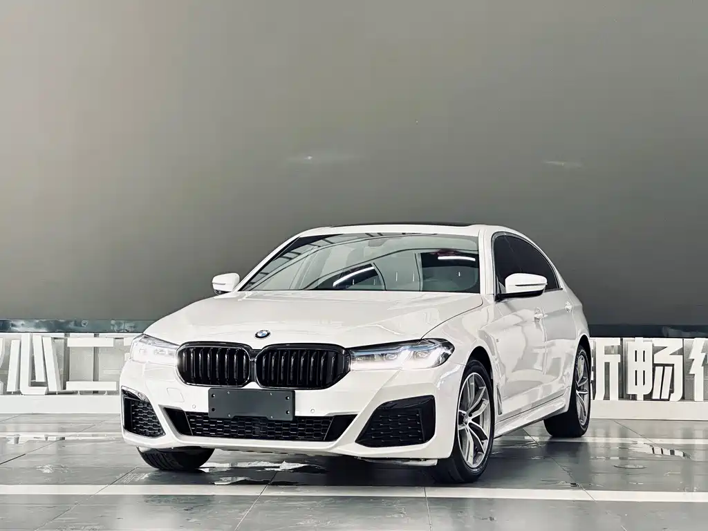 BMW 5 Series 2020 — фото 1