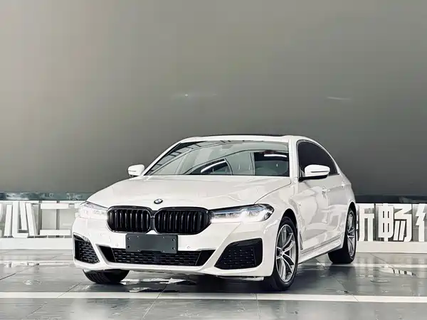 BMW 5 Series 2020