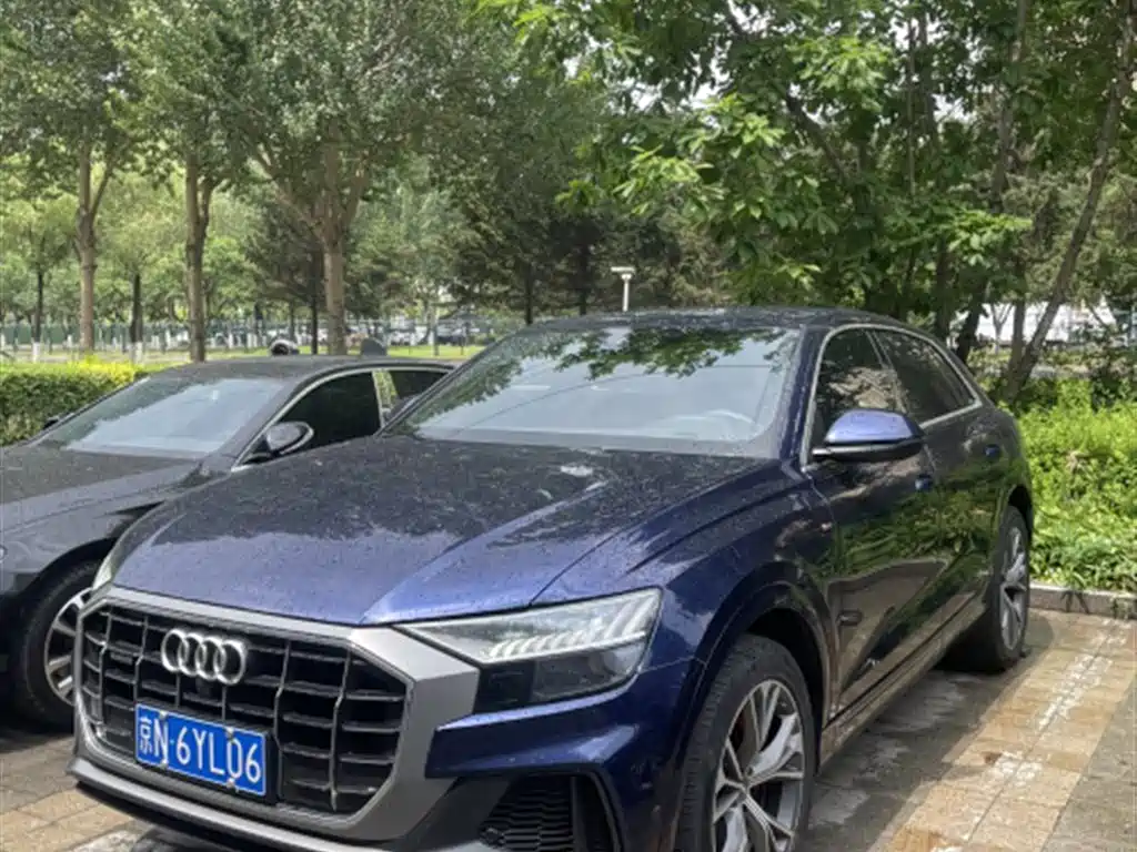 Audi Q8 2020