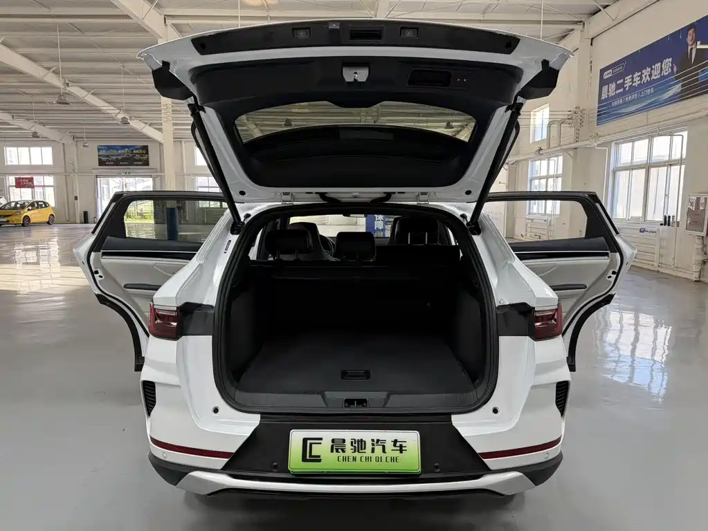 BYD PLUS New Energy 2022 — фото 16