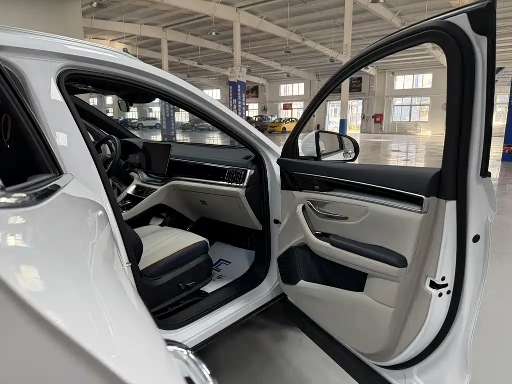 BYD PLUS New Energy 2022 — фото 14