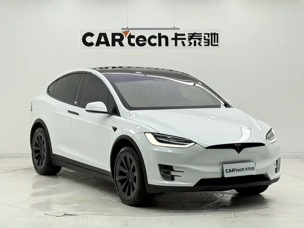 Tesla Model X 2019 — фото 3