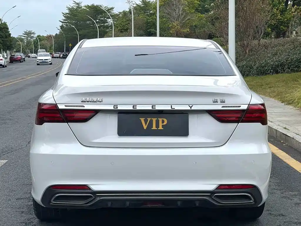 Geely Binrui 2019