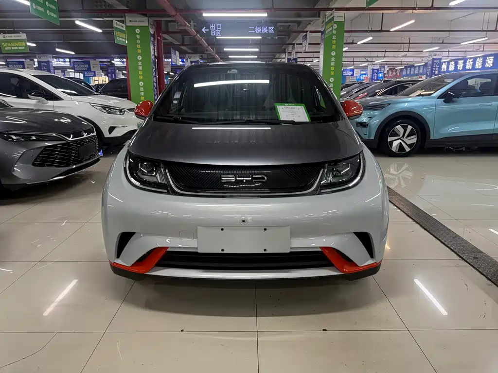 BYD Dolphin 2022