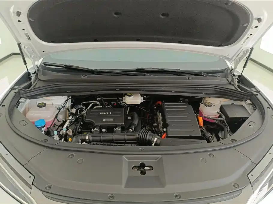 BYD L DM-i 2024 — фото 10