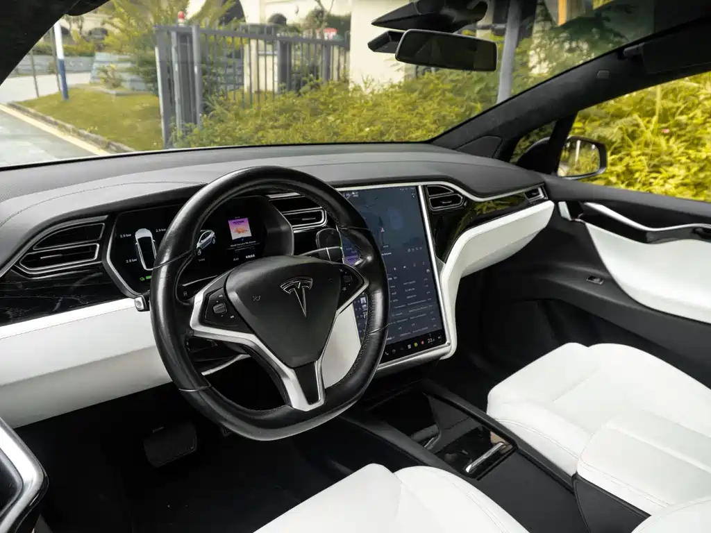 Tesla Model X 2017 — фото 10