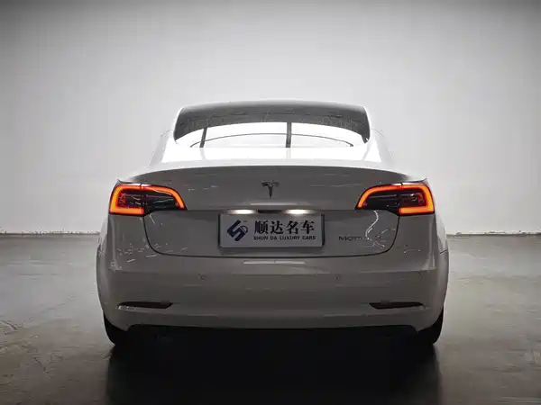 Tesla Model 3 2020
