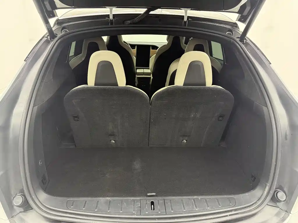 Tesla Model X 2019 — фото 25
