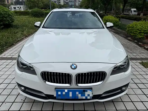BMW 5 Series 2014