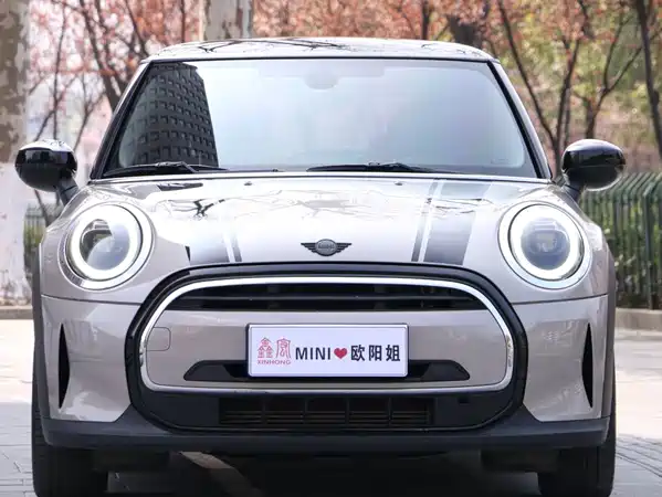 MINI MINI 2023
