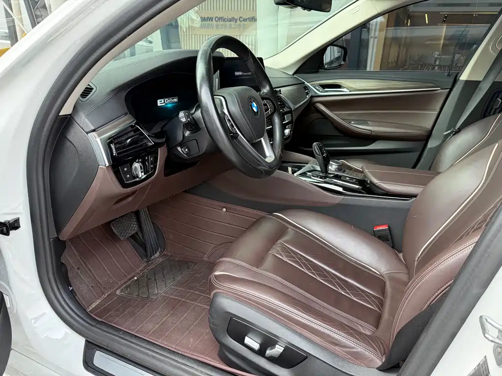 BMW 5 Series New Energy 2019