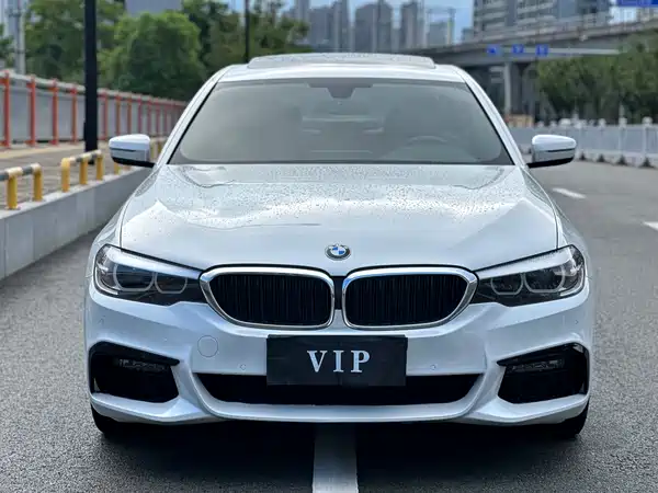 BMW 5 Series 2019