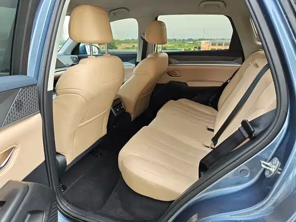 BYD Song Pro New Energy 2024