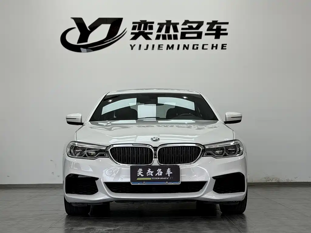 BMW 5 Series 2019