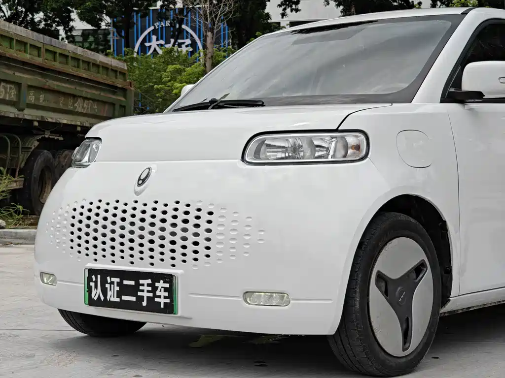 Ora White Cat 2022
