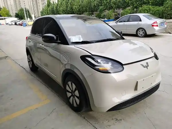Wuling Bingo 2024