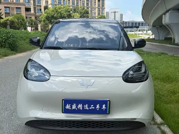 Wuling Bingo 2024