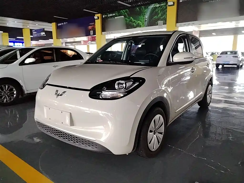 Wuling Bingo 2024