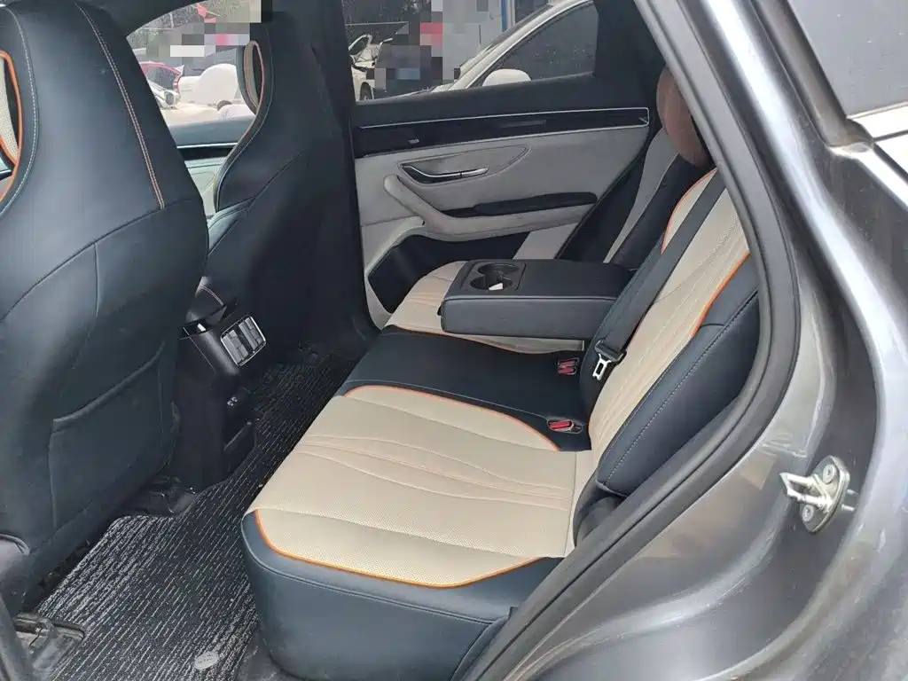 BYD Song PLUS New Energy 2022 — фото 15