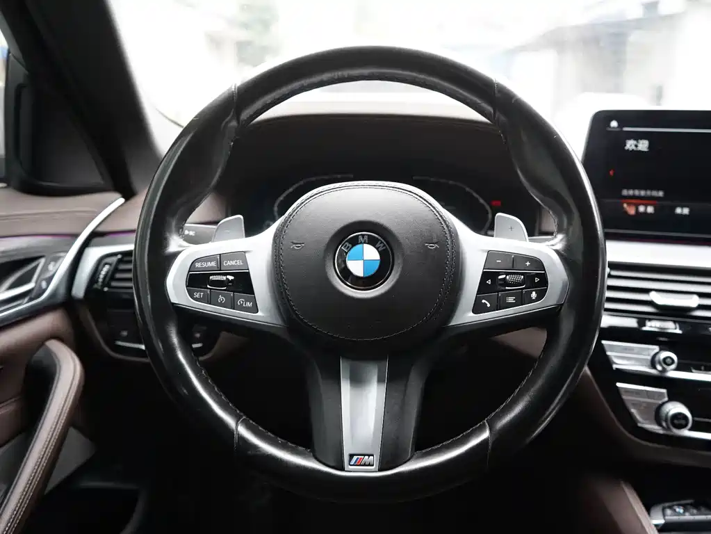 BMW 5 Series 2021 — фото 15