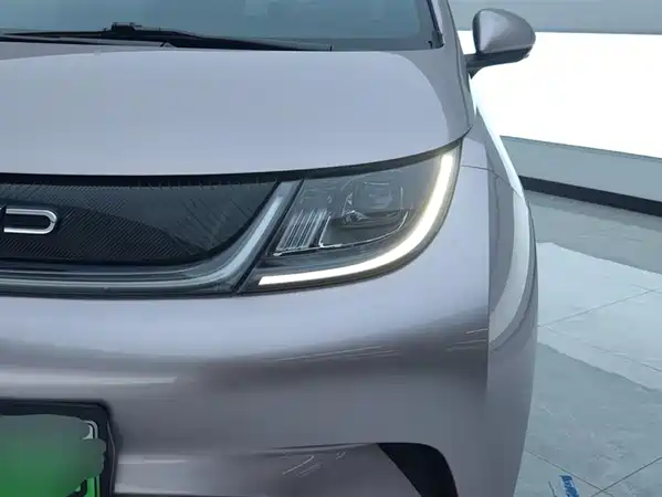 BYD Dolphin 2021