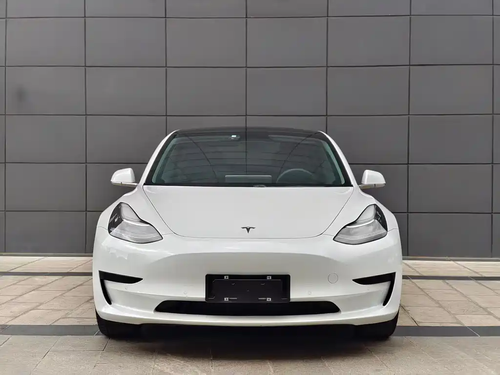 Tesla Model 3 2020 — фото 2