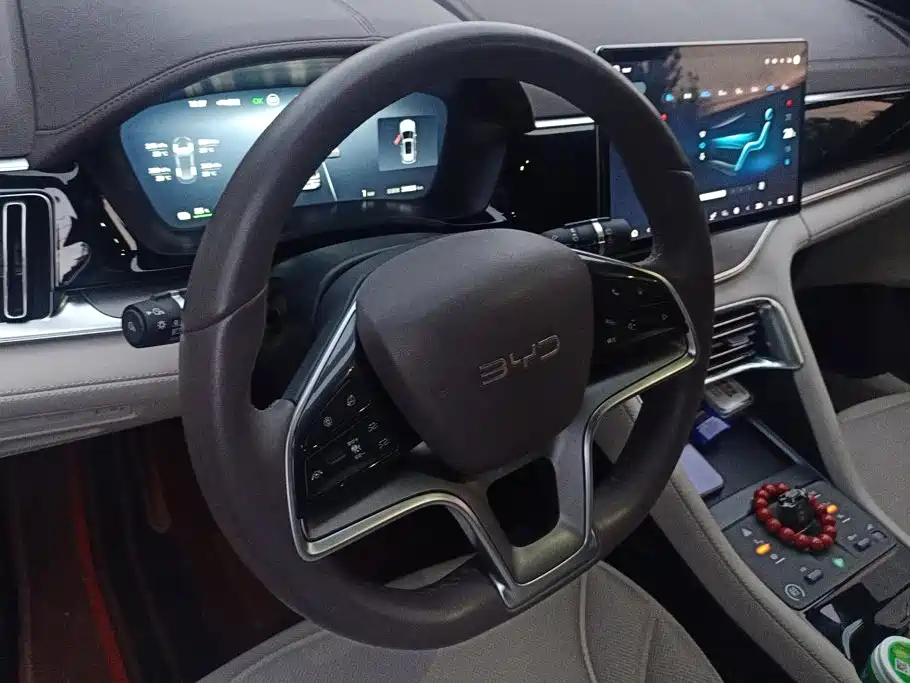BYD Song PLUS New Energy 2024 — фото 15