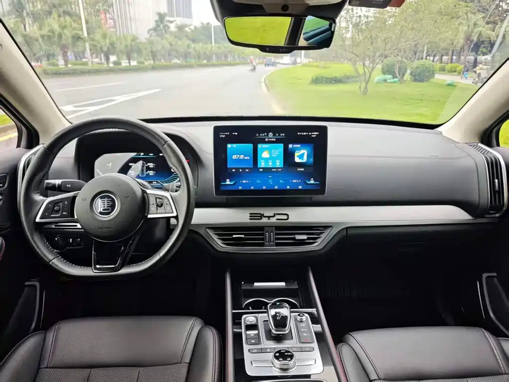 BYD Tang New Energy 2019 — фото 11