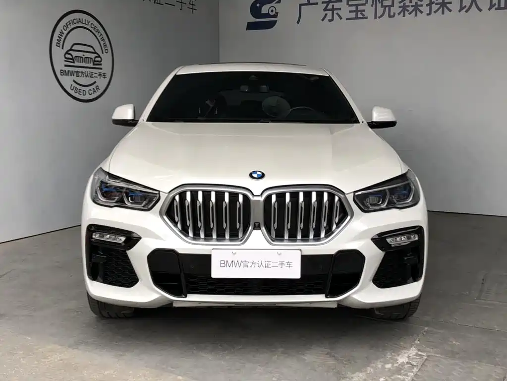 BMW X6 2021 — фото 2