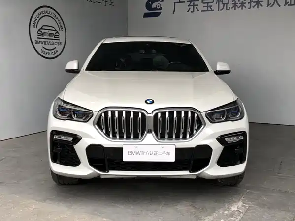 BMW X6 2021