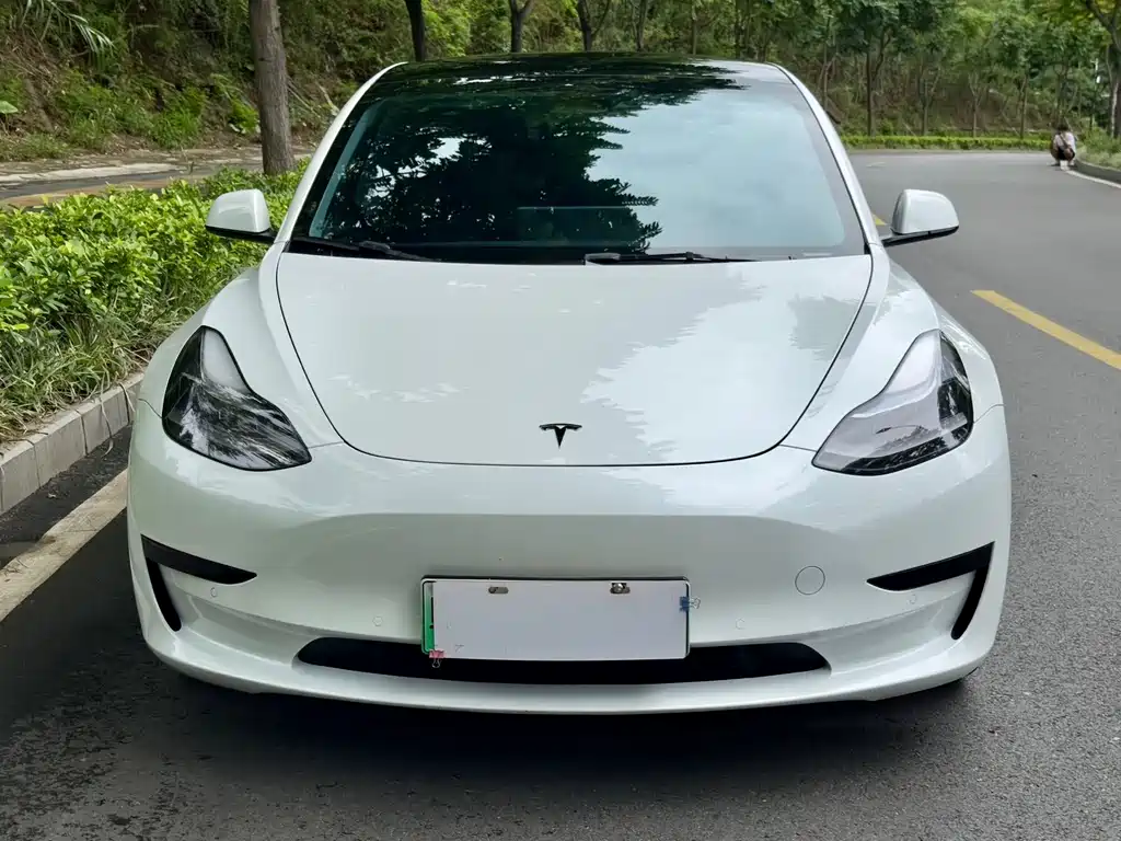 Tesla Model 3 2022 — фото 2