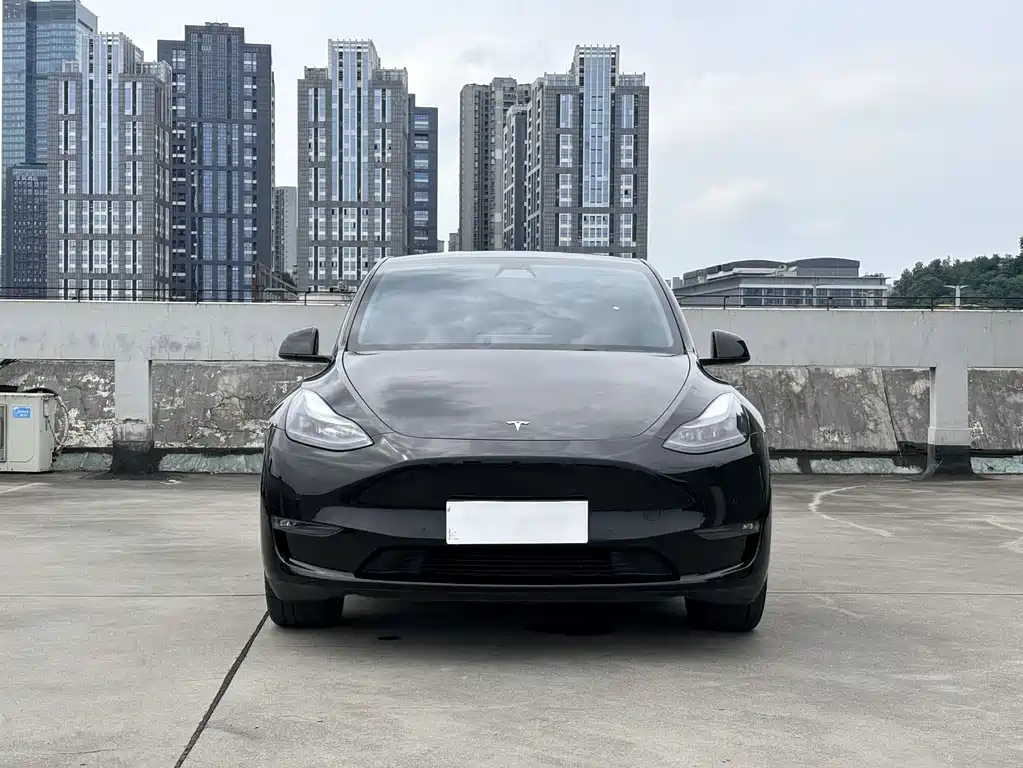 Tesla Model Y 2022 — фото 2