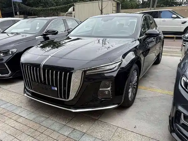 Hongqi H5 2024
