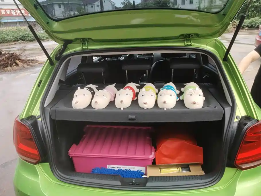 Volkswagen Polo 2015