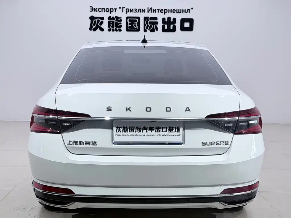 Skoda Speedy 2024
