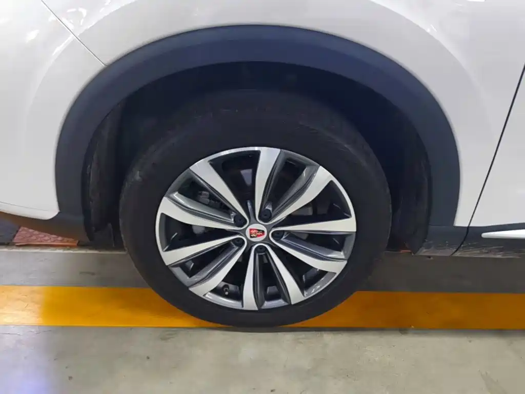 Roewe RX5 MAX 2020 — фото 23