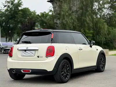 MINI MINI 2020