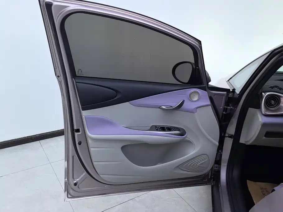 BYD Dolphin 2022