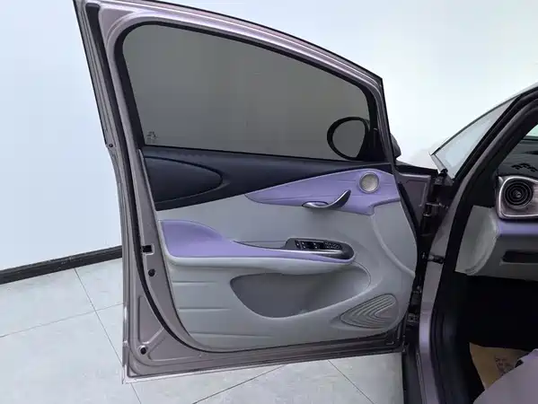BYD Dolphin 2022