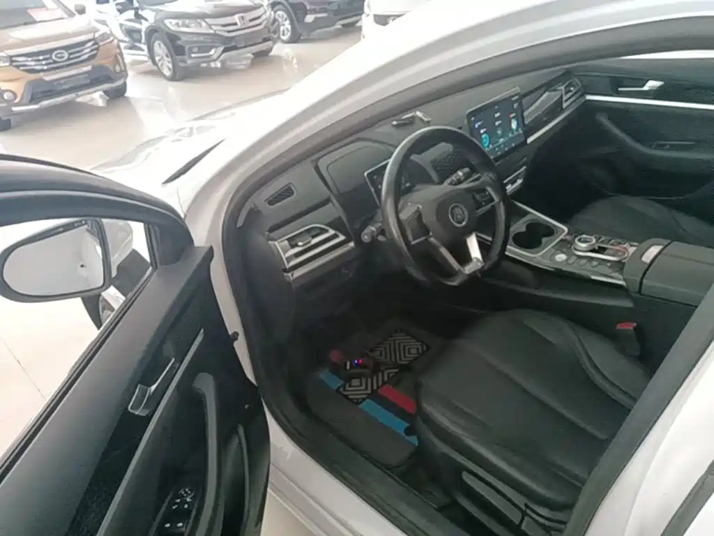 BYD Qin PLUS 2023 — фото 16