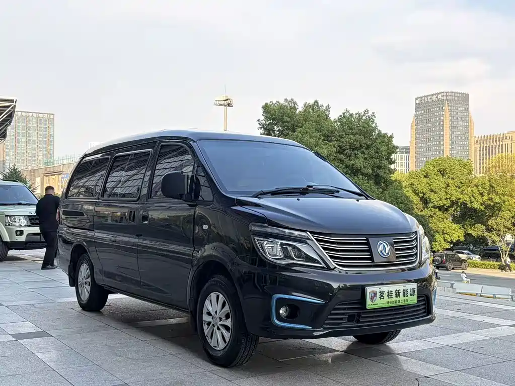 Dongfeng Lingzhi New Energy 2021