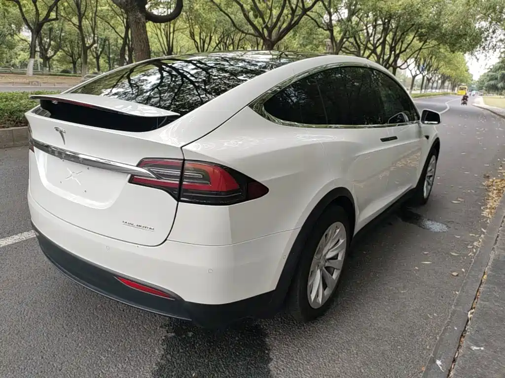 Tesla Model X 2019 — фото 7